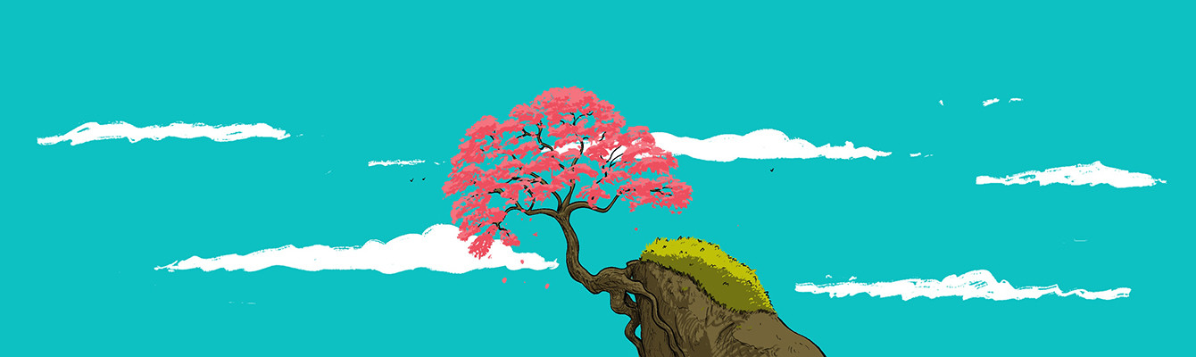 A pink flowering tree on a rocky outcrop against turquoise sky